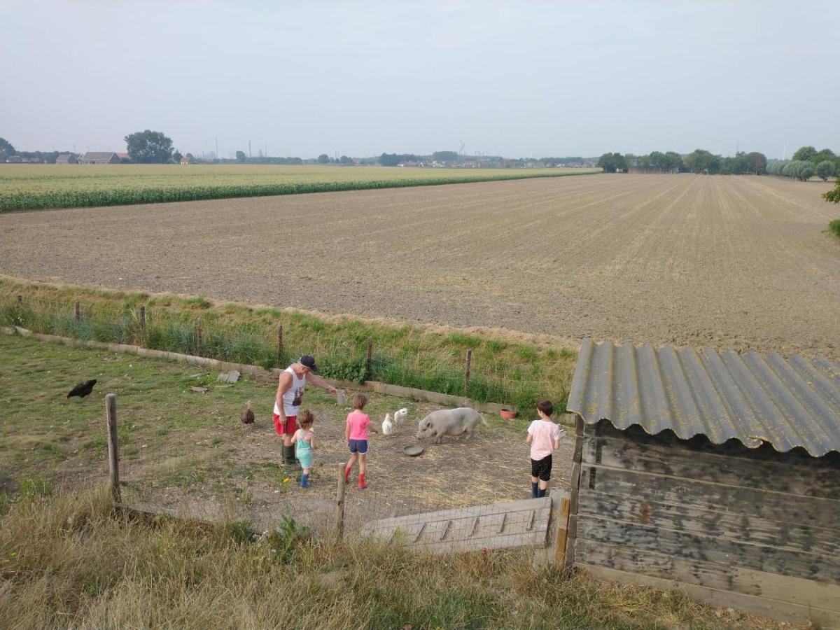 “In Oans Oefje” Parel In De Polder! Leilighet Lewedorp Eksteriør bilde