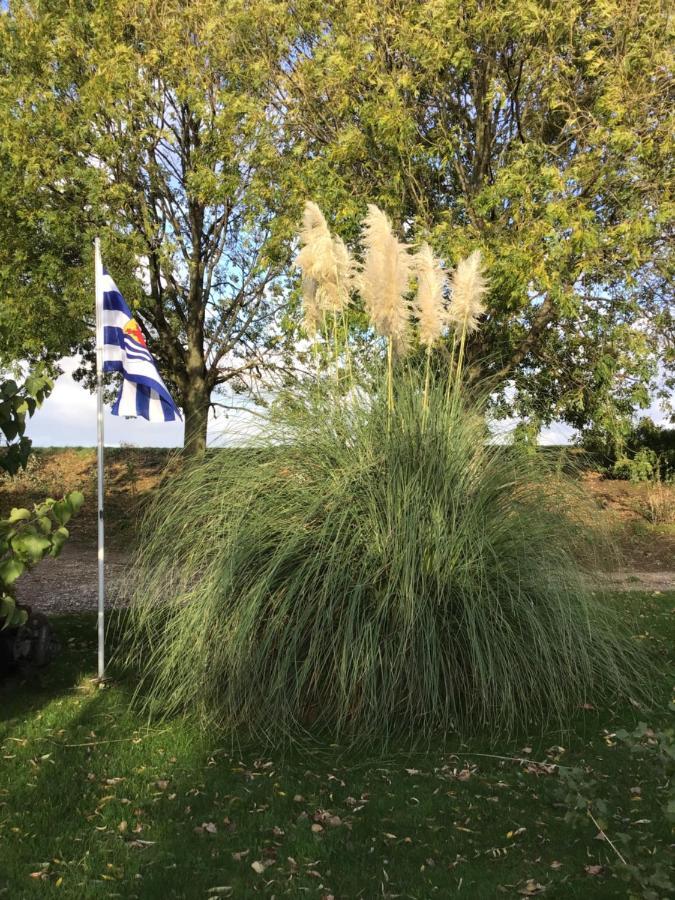 “In Oans Oefje” Parel In De Polder! Leilighet Lewedorp Eksteriør bilde